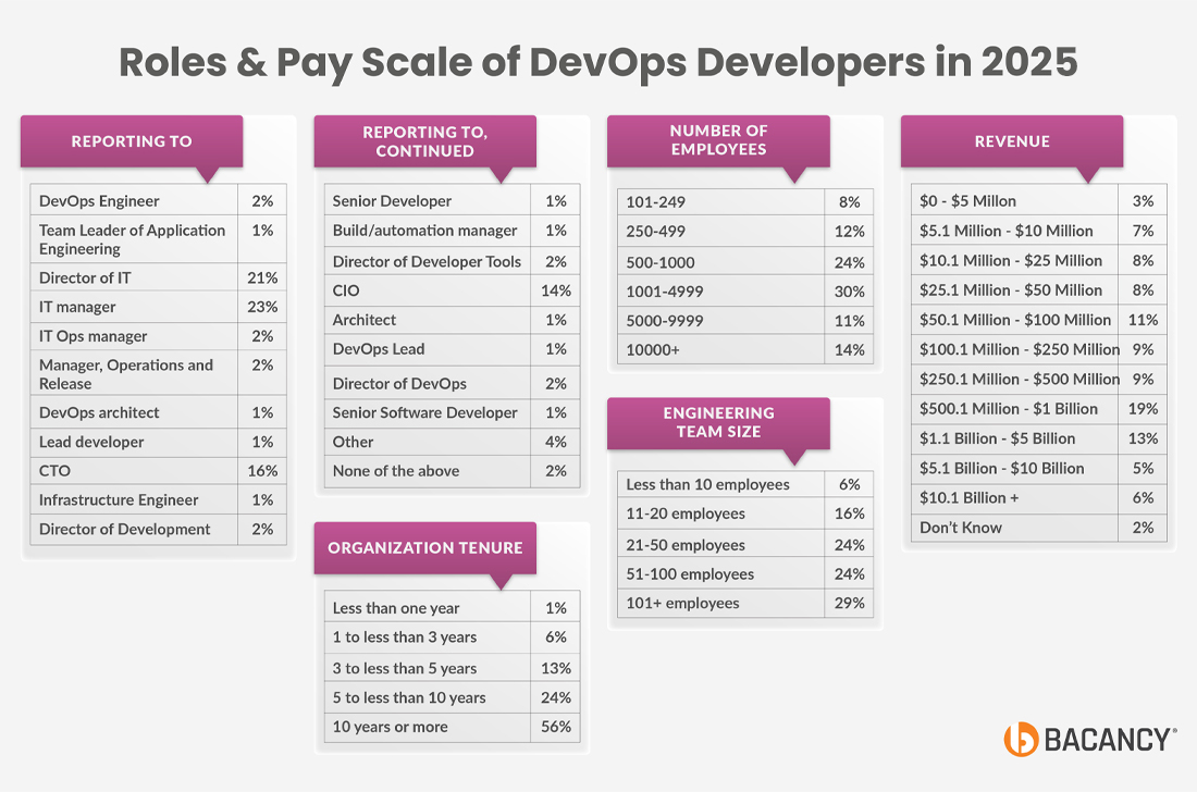 Roles and Pay Scale of DevOps Developers in 2025
